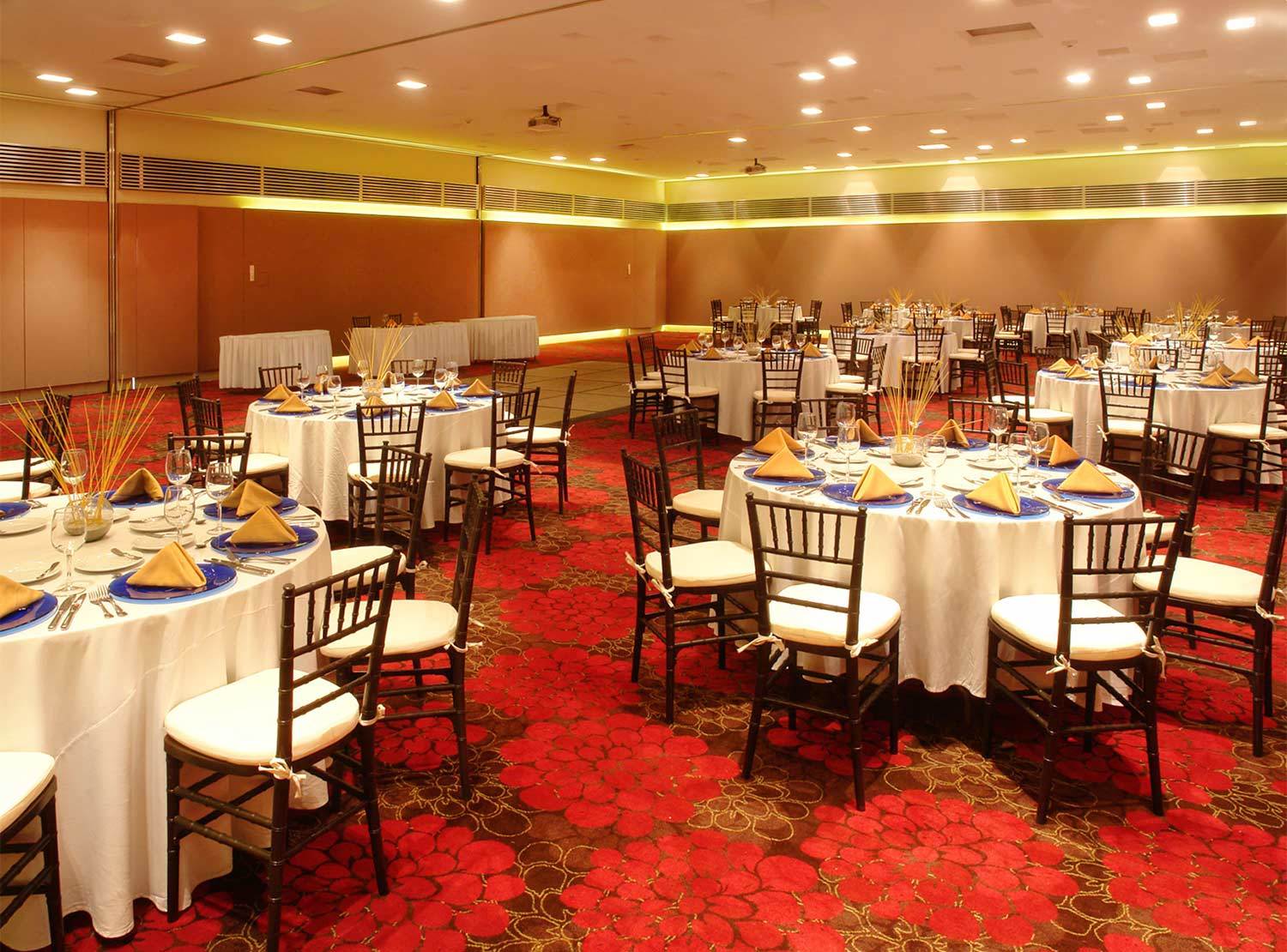 Hotel Emporio Ixtapa Ixtapa  Exteriér fotografie The ballroom of the hotel